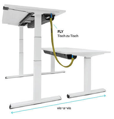 2 COBRA System visAvis Text pc